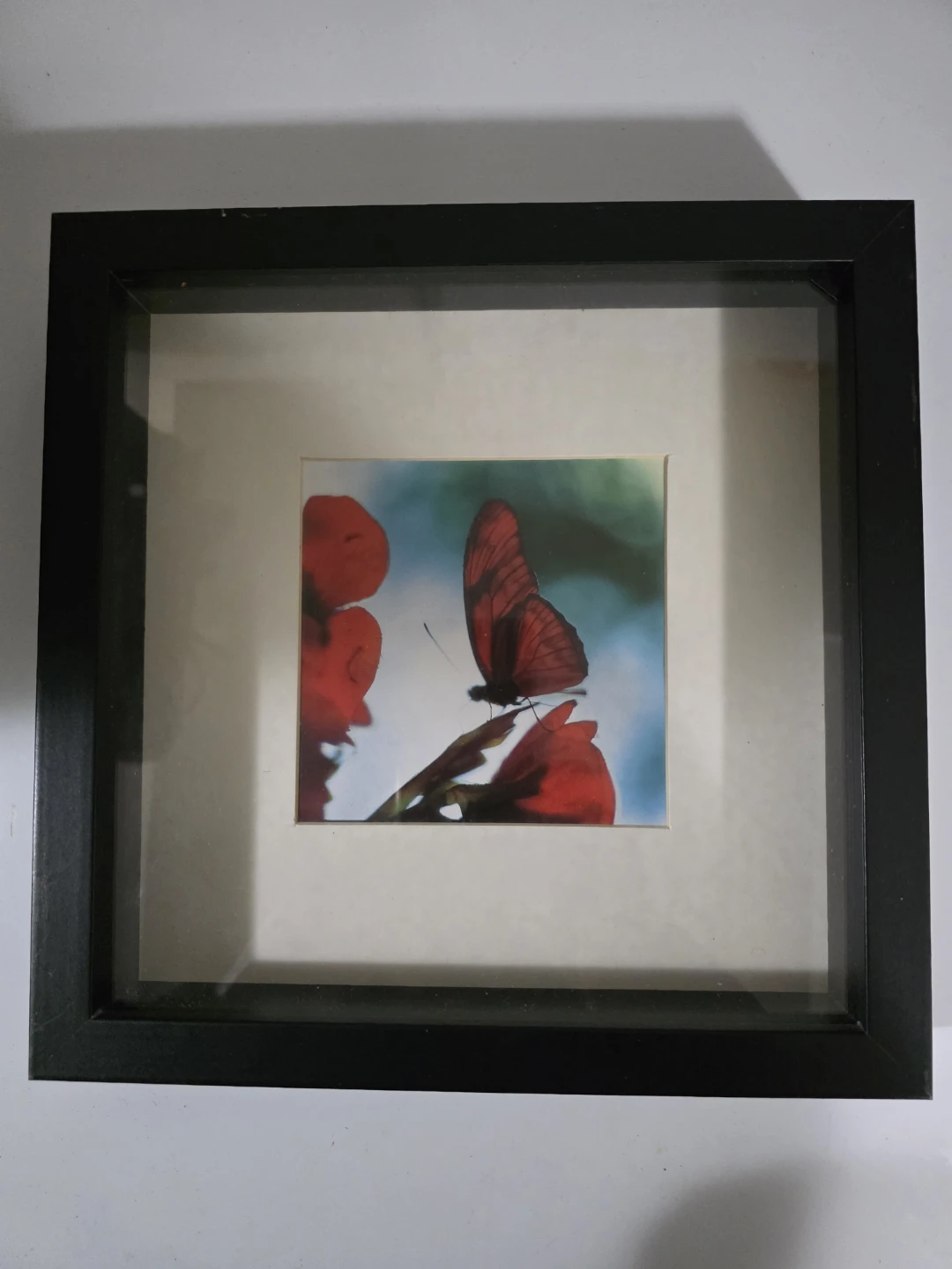 Framed Butterfly  forest Art Prints - photo 4