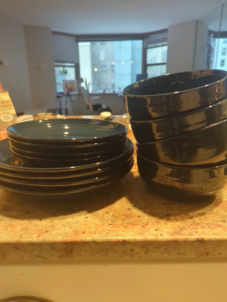 16pc Navy Luncheon Plate Set
