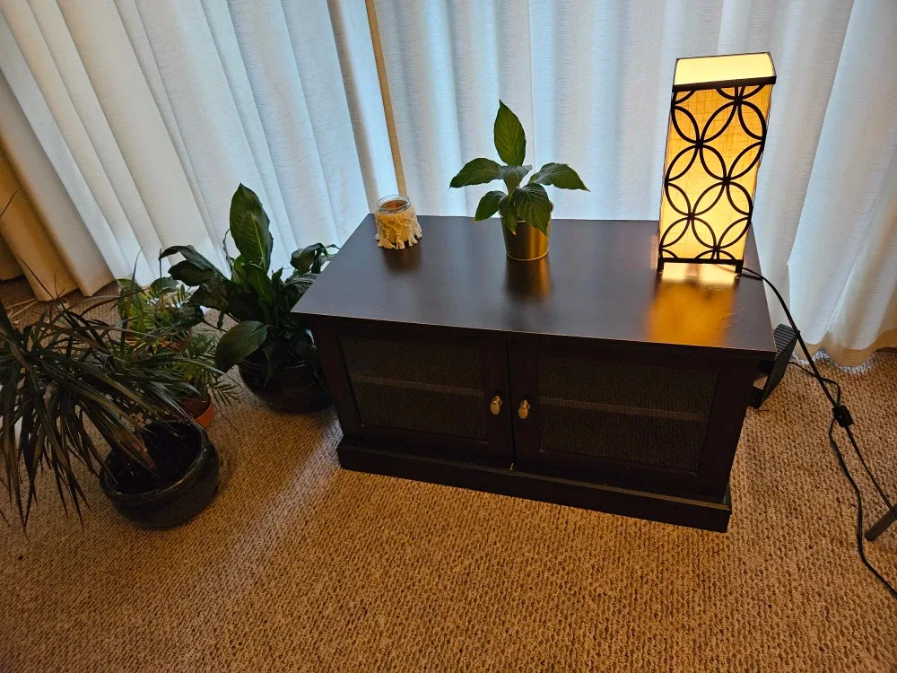 TV console with storage