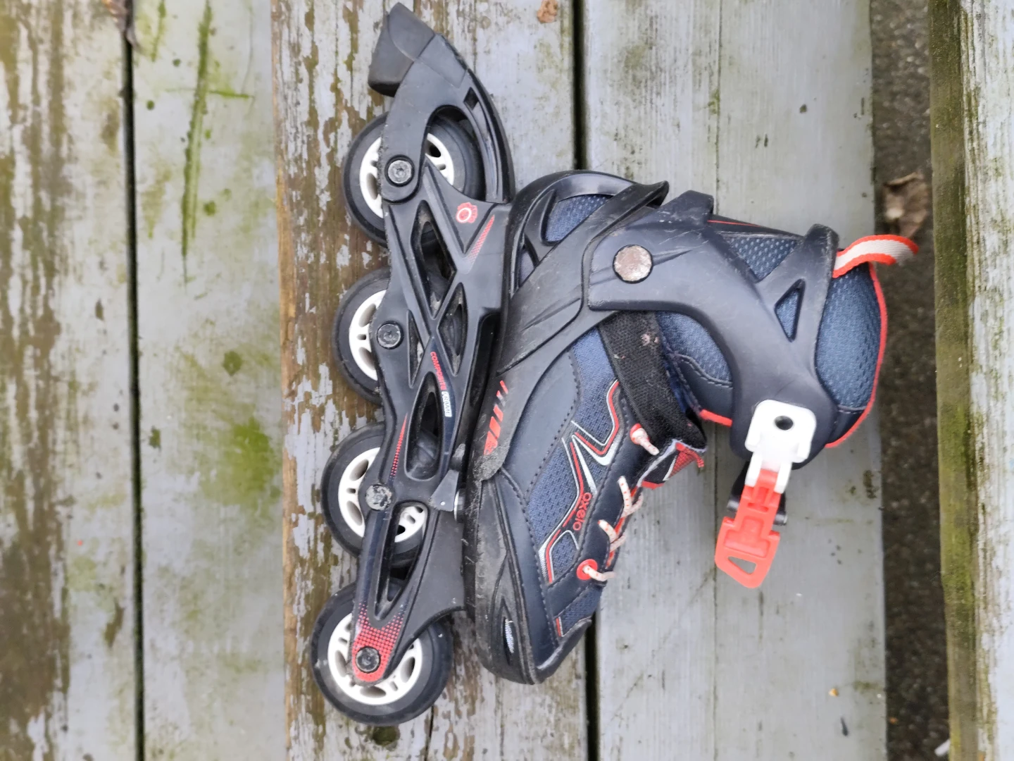 Inline roller skates 🥕