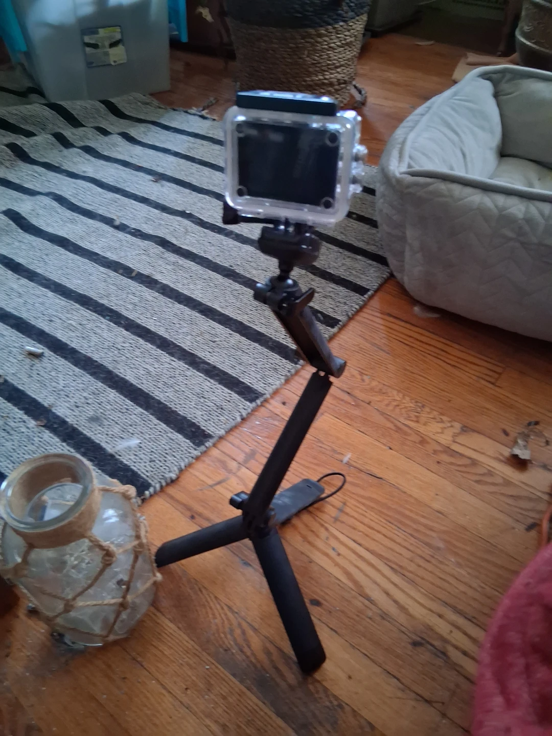 Camera
