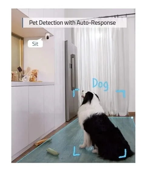 Eufy Security Indoor Cam Pan & Tilt image indicator(7)