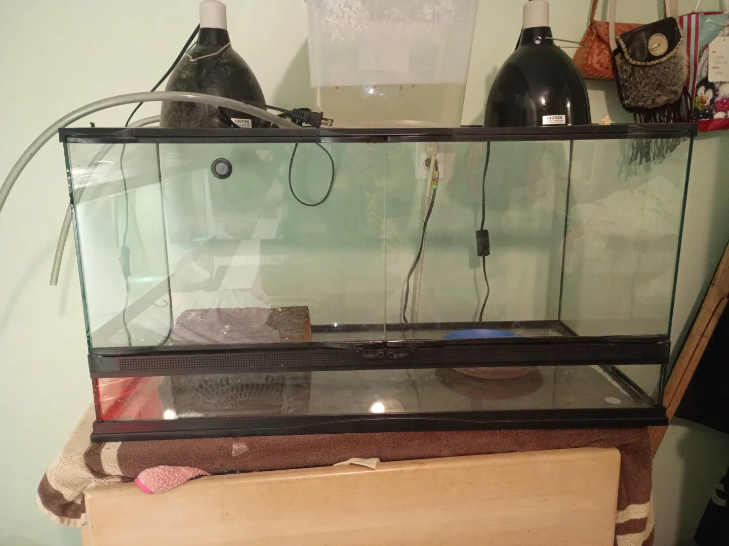 Glass Terrarium Tank