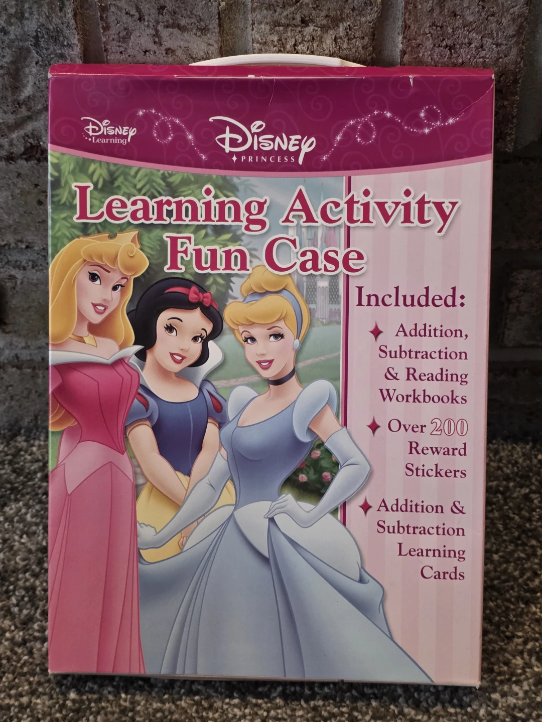 Disney Princess Learning Activity Fun Case