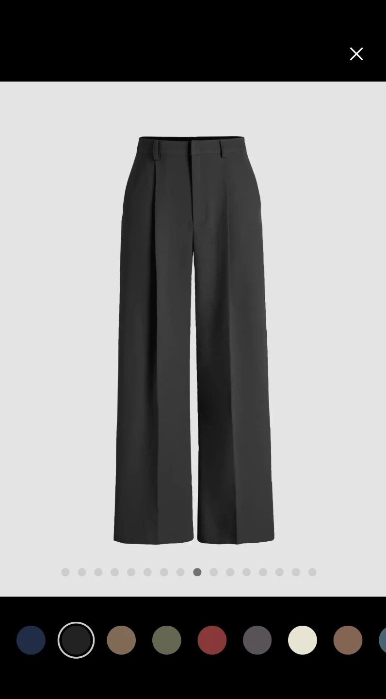 Black Wide Leg Pleated Pants -Brand New