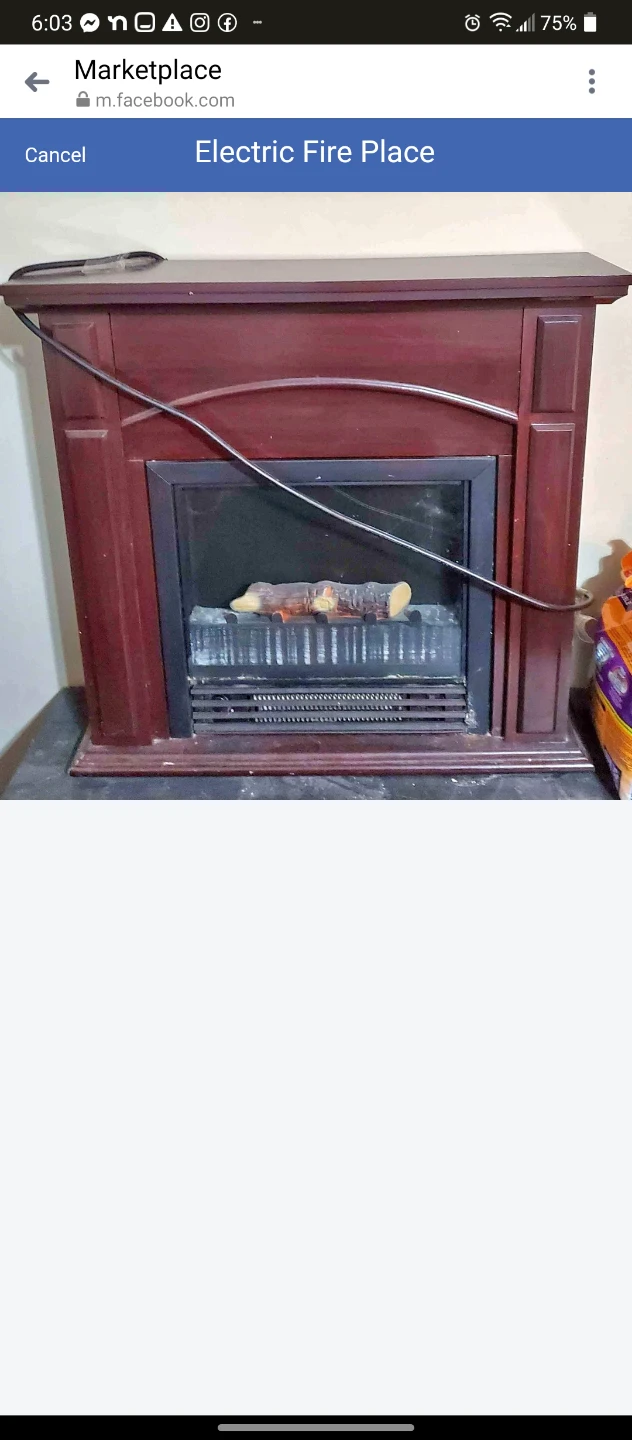 Electric Fireplace