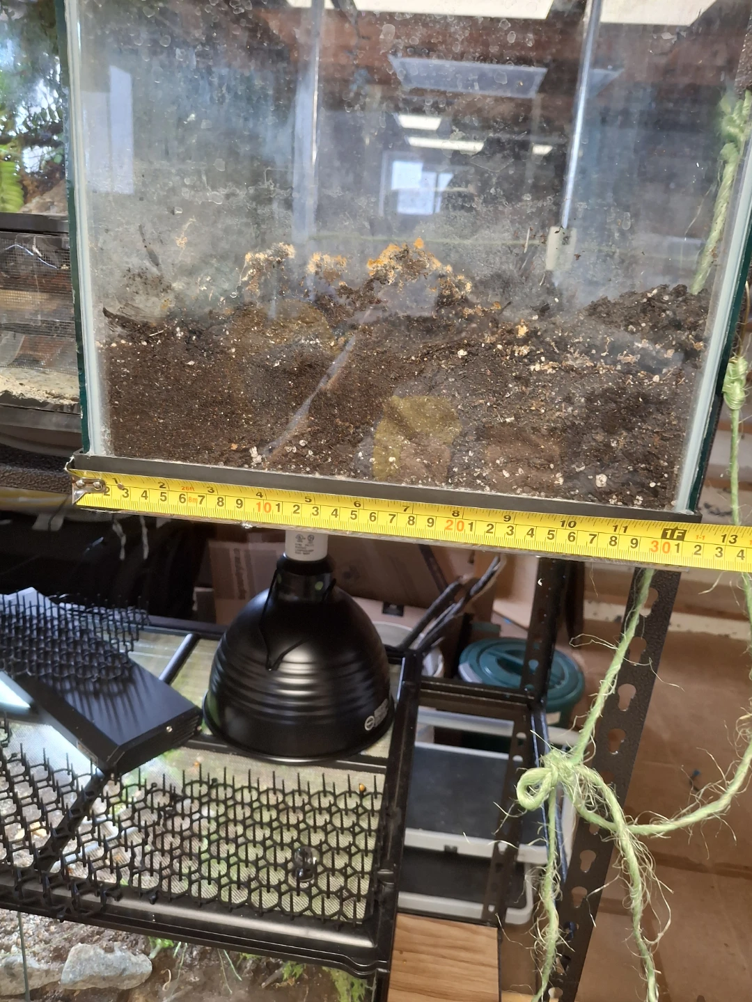 Terrarium (Free soil) DUNDELA