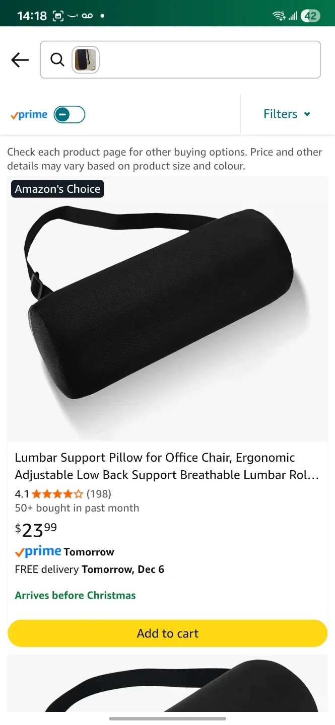 Lumbar Support Pillow - Ergonomic Black