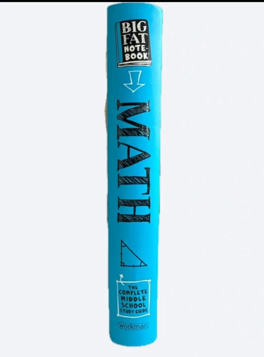 Everything You Need to Ace Math - #Cleanout image indicator(2)