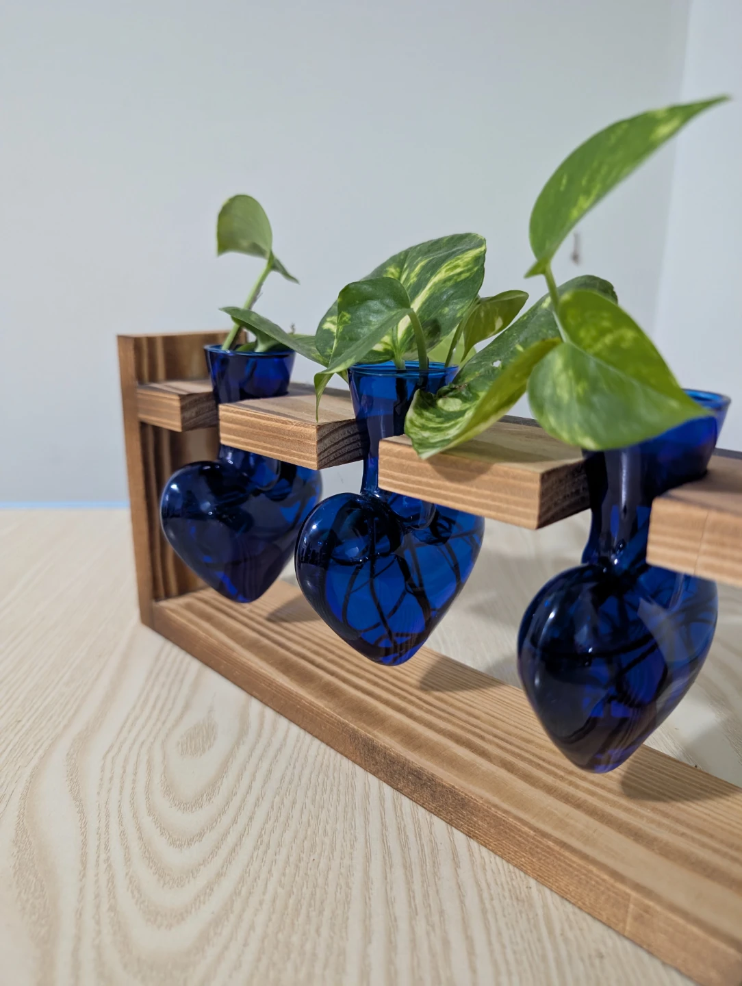 Triple Bud Vase Propagation Station - photo 2