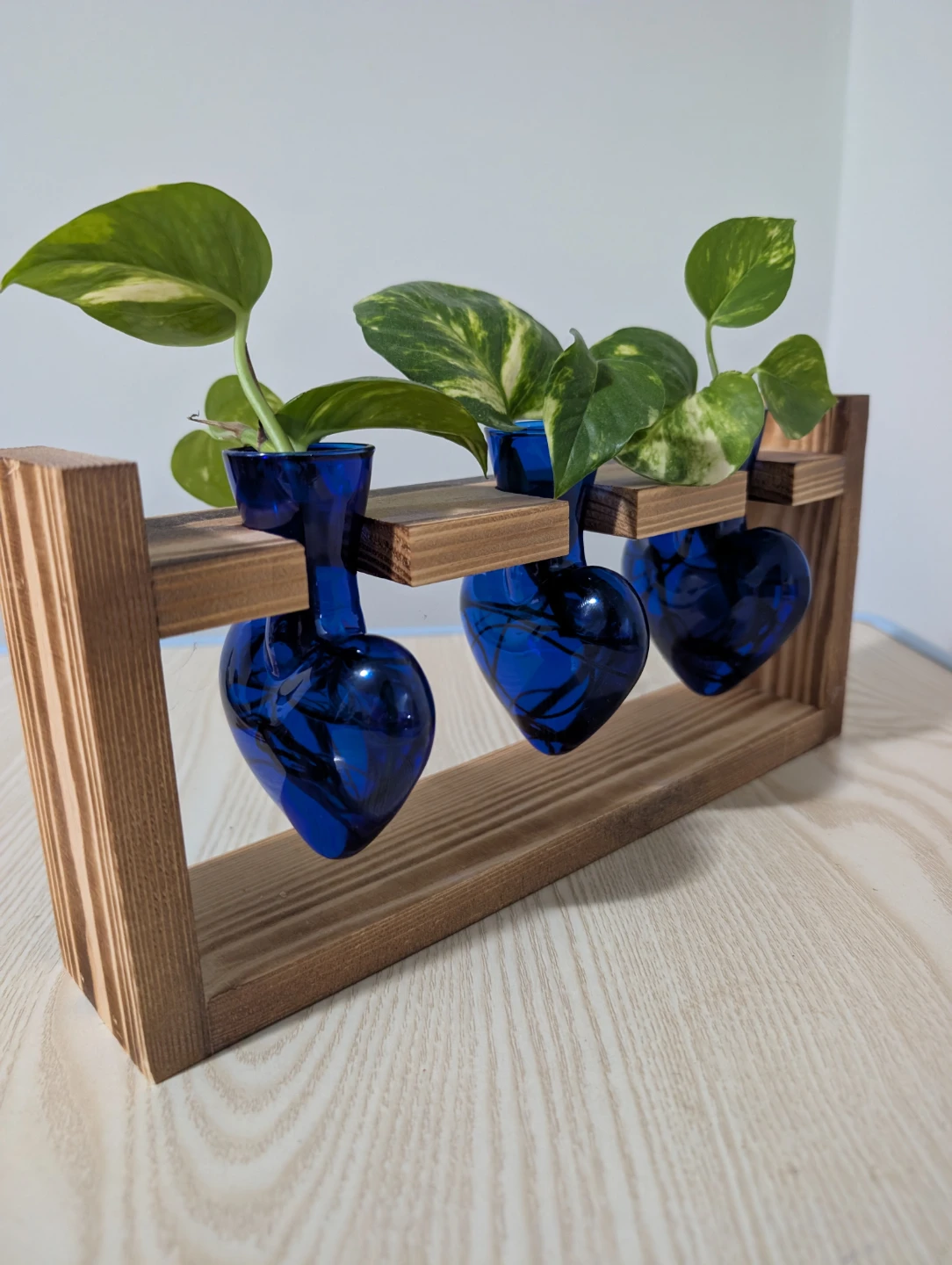 Triple Bud Vase Propagation Station - photo 3