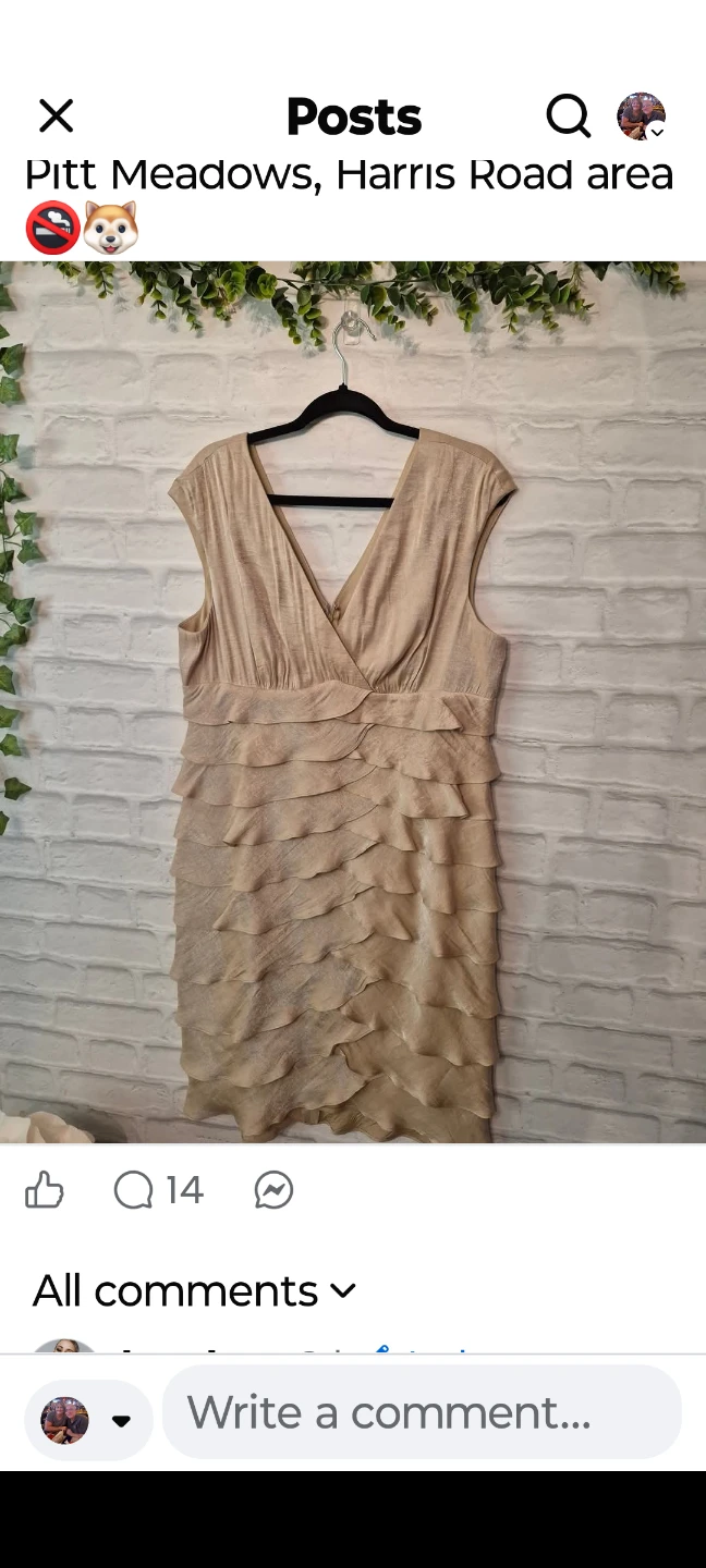 BN Cocktail Dress SZ 18 - photo 5