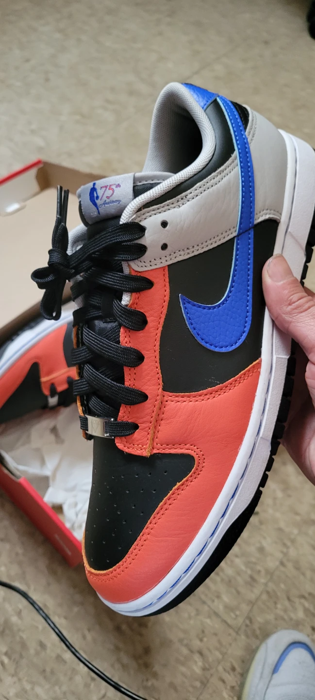 Nike Dunk Low Retro EMB, Size 10, With Box - photo 2