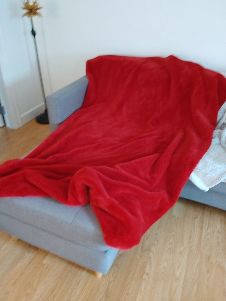 Red Fleece Throw Blanket - photo 4