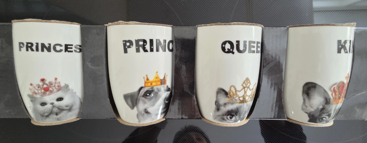 Graphic 4-Piece New Bone China Mug Set