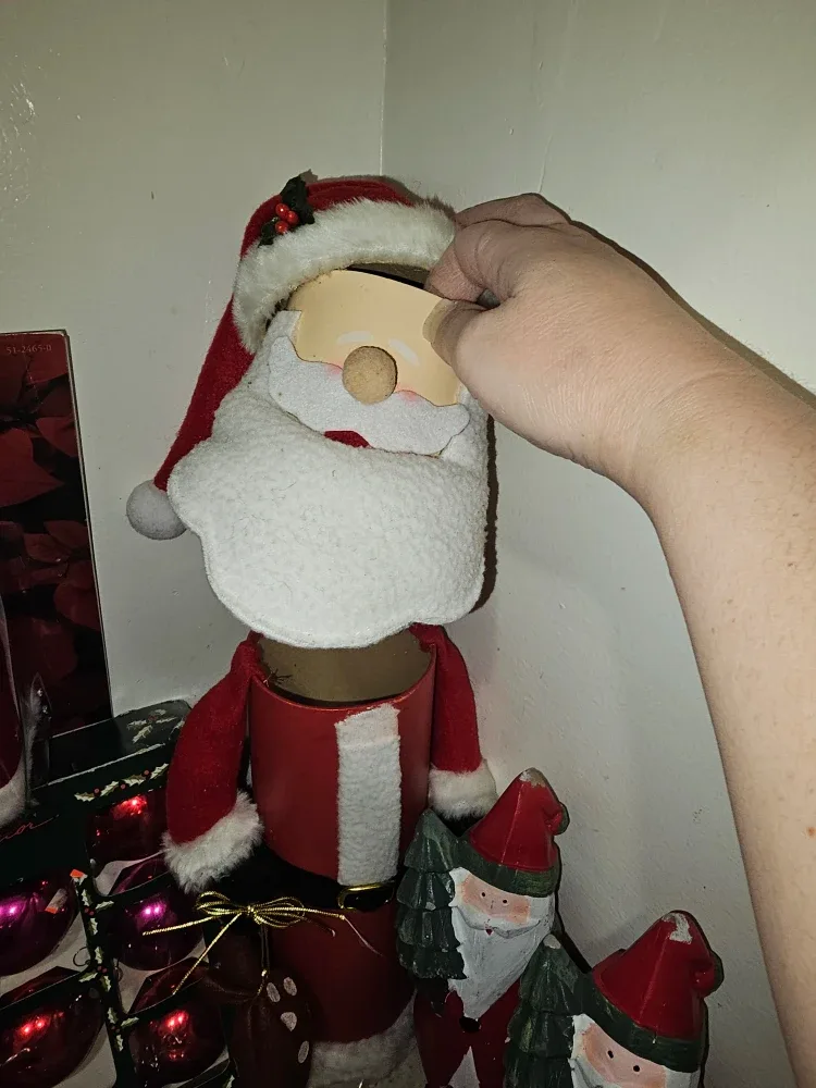 Danson Decor Christmas Ornaments & Decorations #Cleanout image indicator(6)