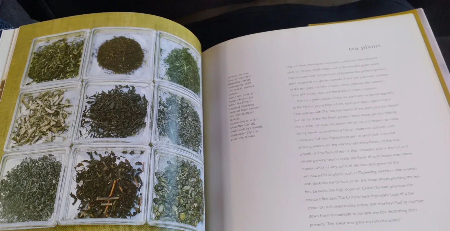 BOOK OF TEA - REFERENCE, HISTORY, RECIPES image indicator(5)