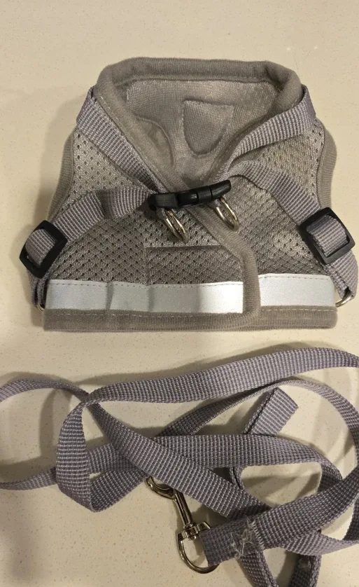 Offers Welcome: Grey Dog or Kitty Harness & Leash (S) #Cleanout image indicator(7)