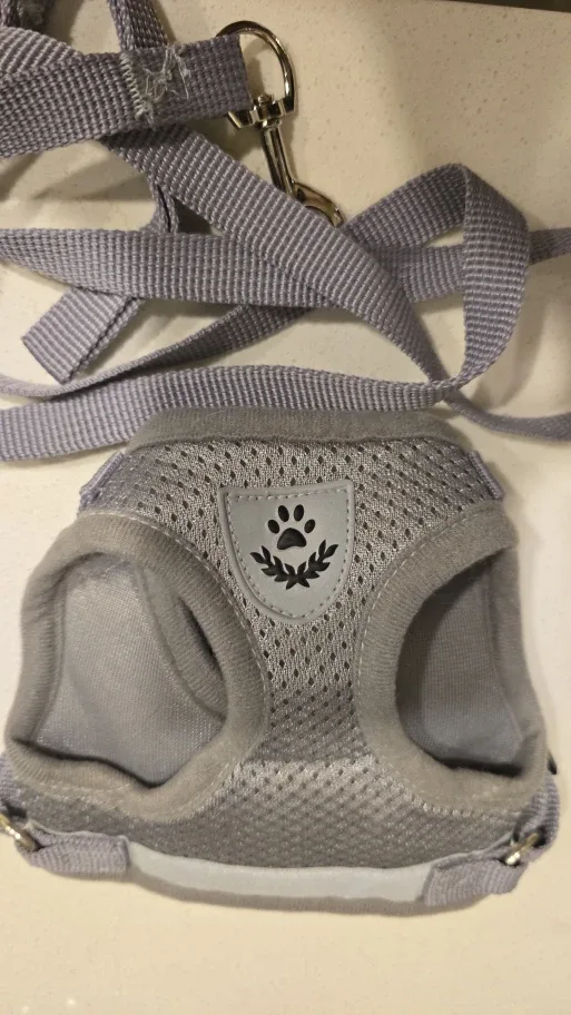 Offers Welcome: Grey Dog or Kitty Harness & Leash (S) #Cleanout image indicator(8)