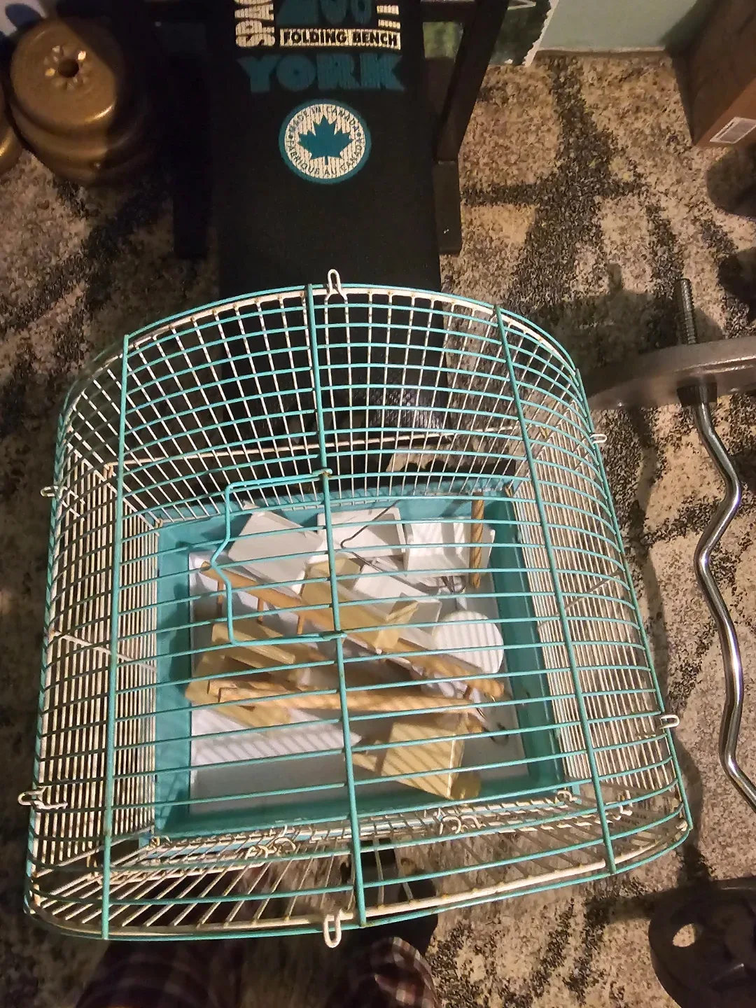 12"x14"x17" bird cage image indicator(3)