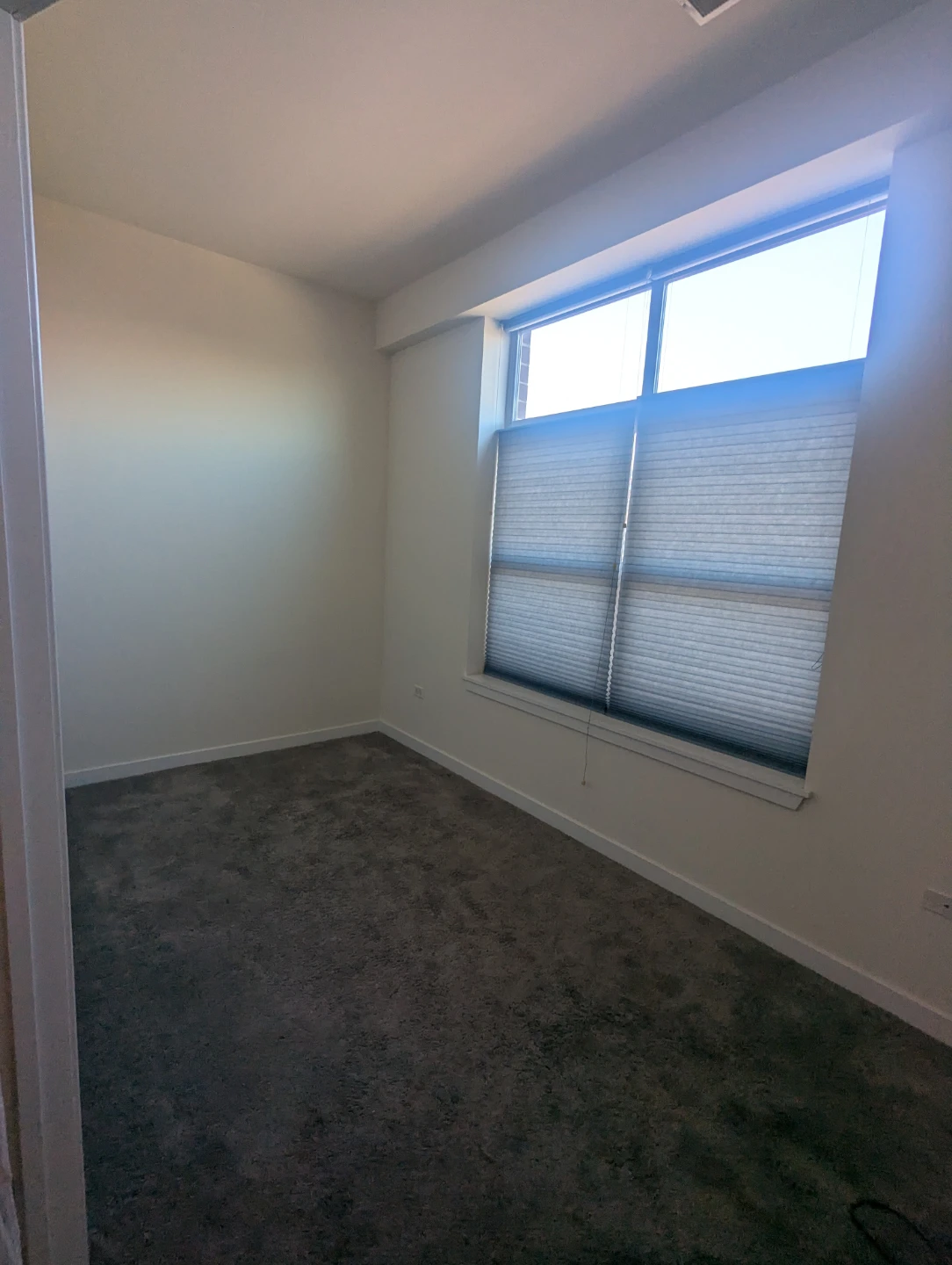 Roomshare avail 1br/1ba starting January