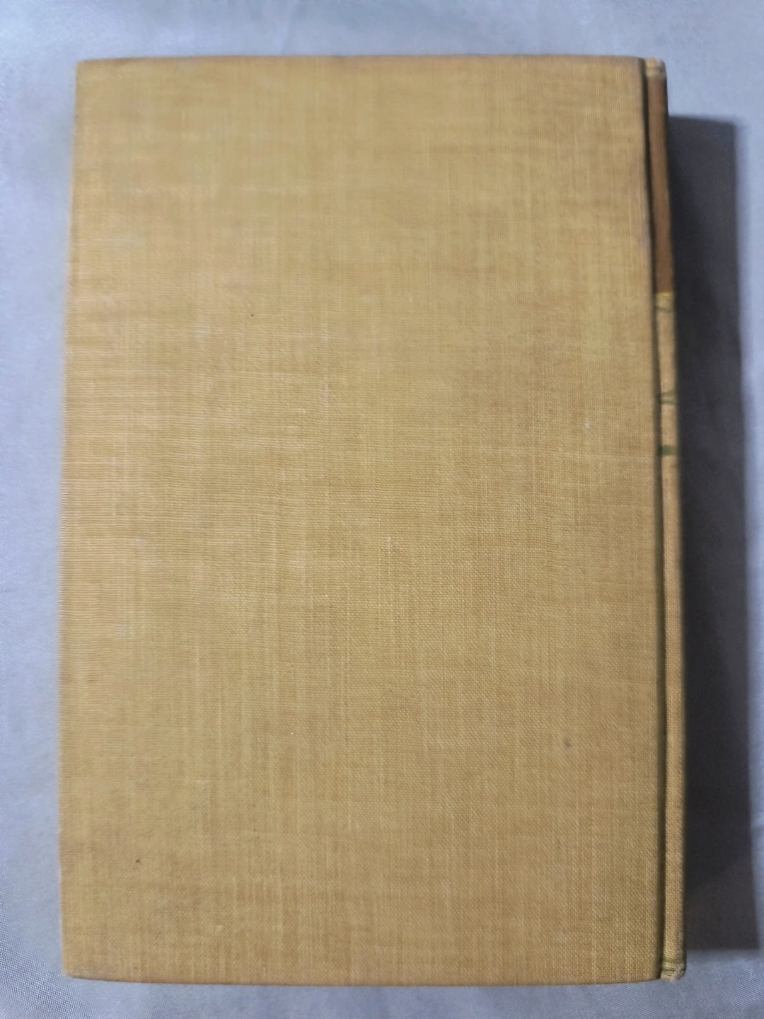 "My Li'l Angelo" rare 1st edition, hardback, 1904 - photo 3