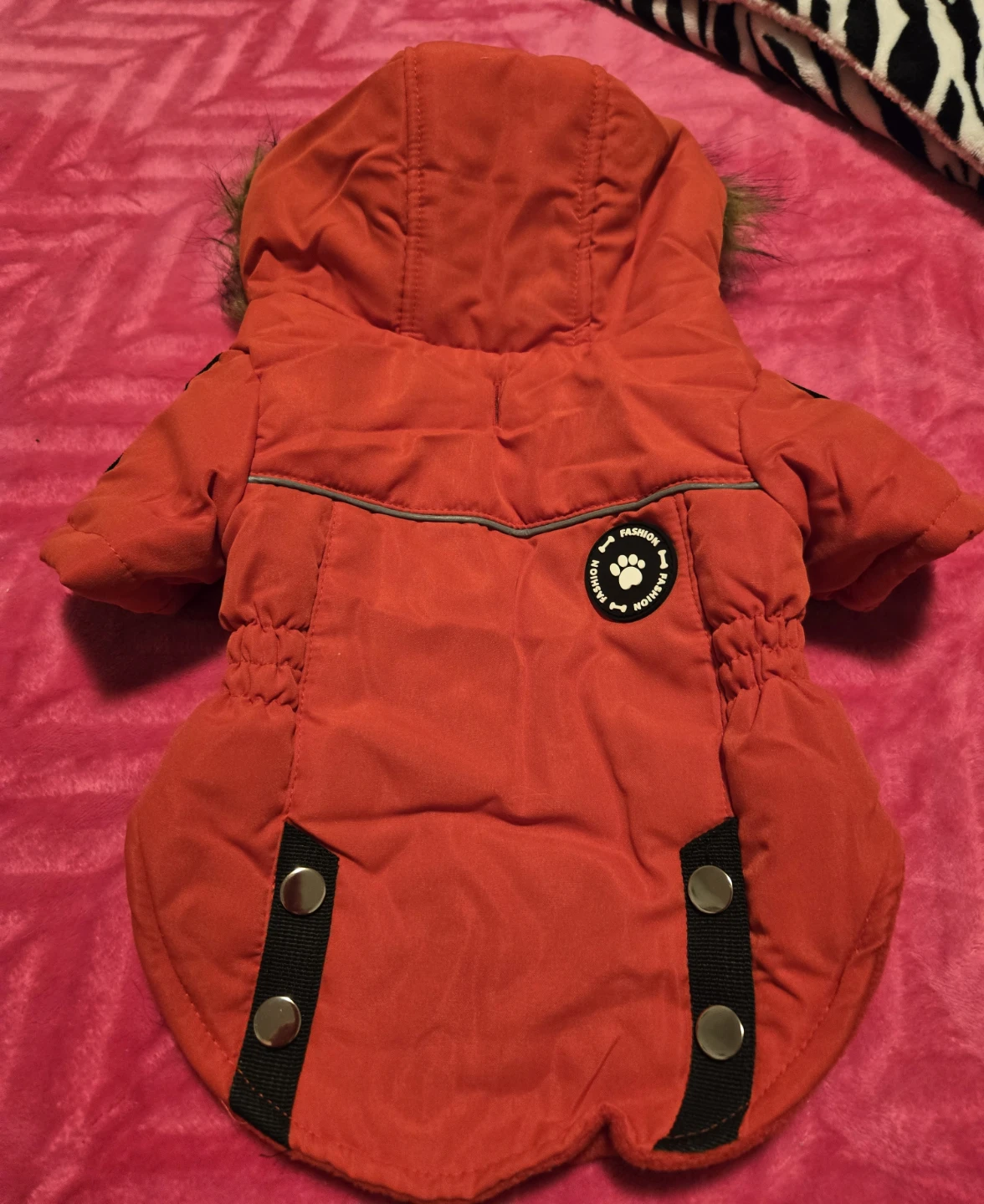 Red Dog Winter Coat with Fur Hood