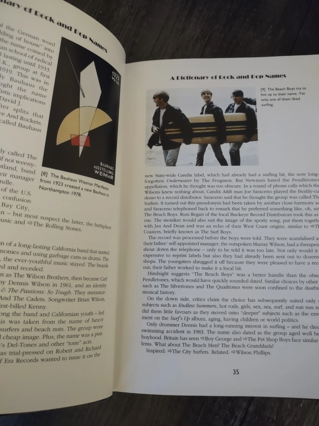 The Dictionary of Rock & Pop Names (Hardcover) by Mark Beech - photo 3