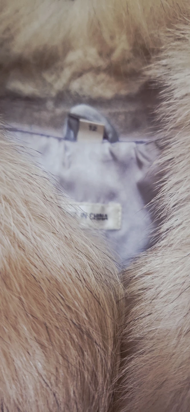 Fur Coat - Silver Fox Furr - photo 4