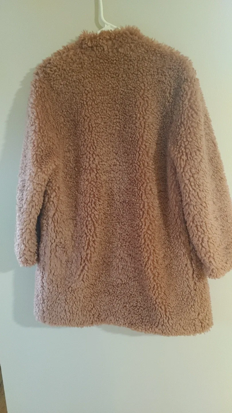 Zara Teddy Coat - Size S image indicator(4)