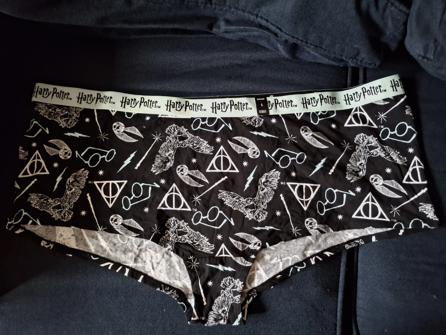 NEW Harry Potter Boyshort - Torrid size