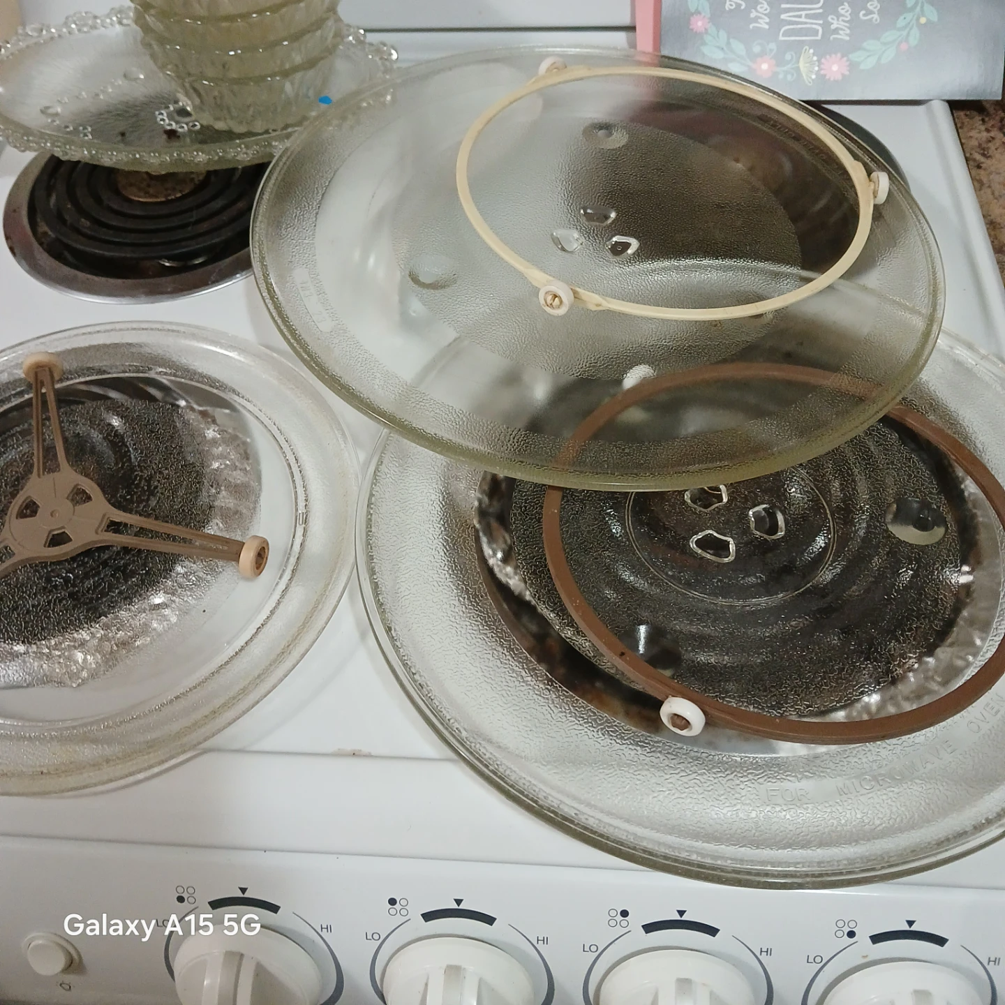 Microwave Glass Plates - photo 2