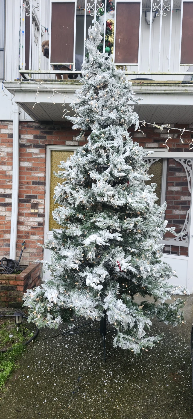 10 ft Vikerman pre lit Christmas tree - photo 3