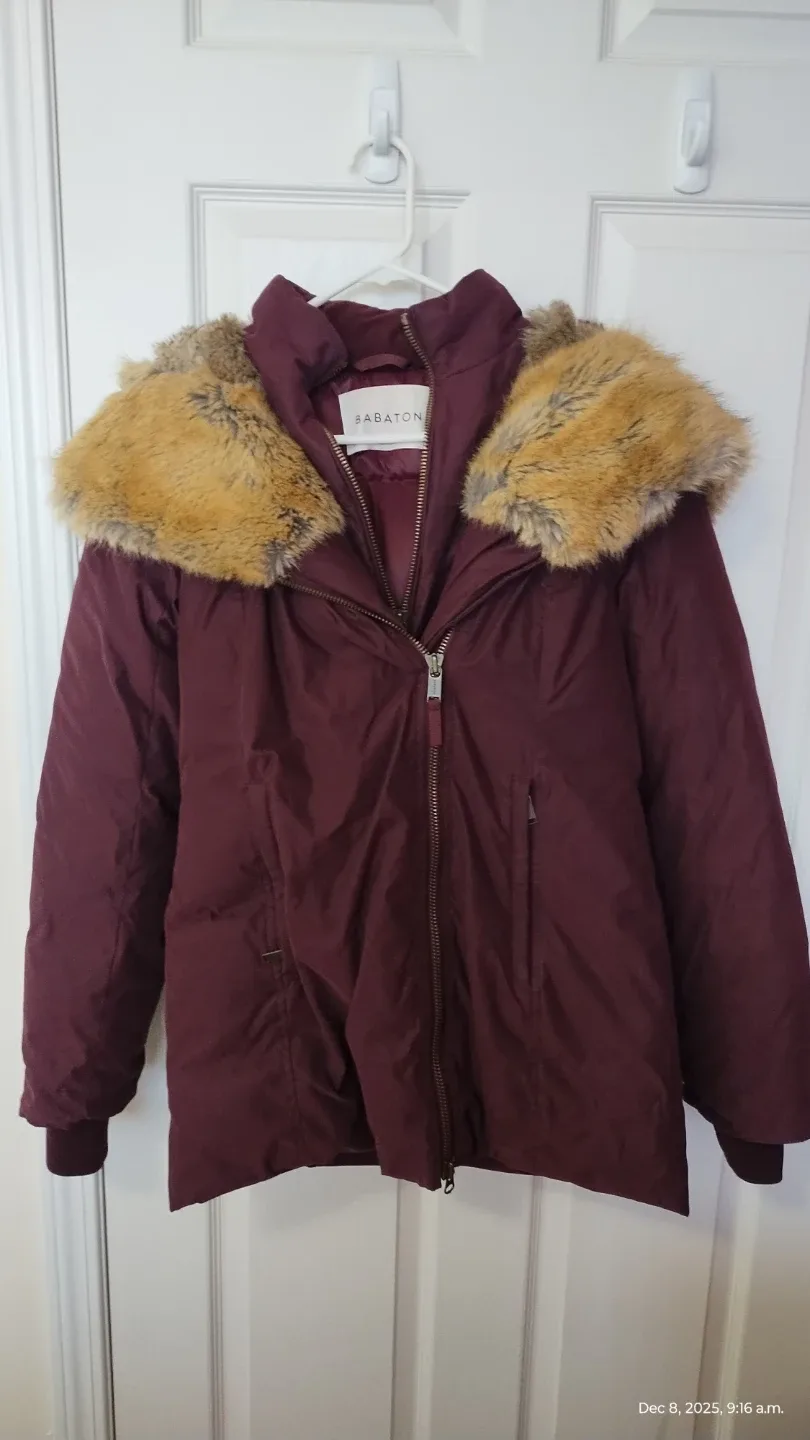 Aritzia Harrison Parka – Warm, Size S – Quick Sale $90 OBO