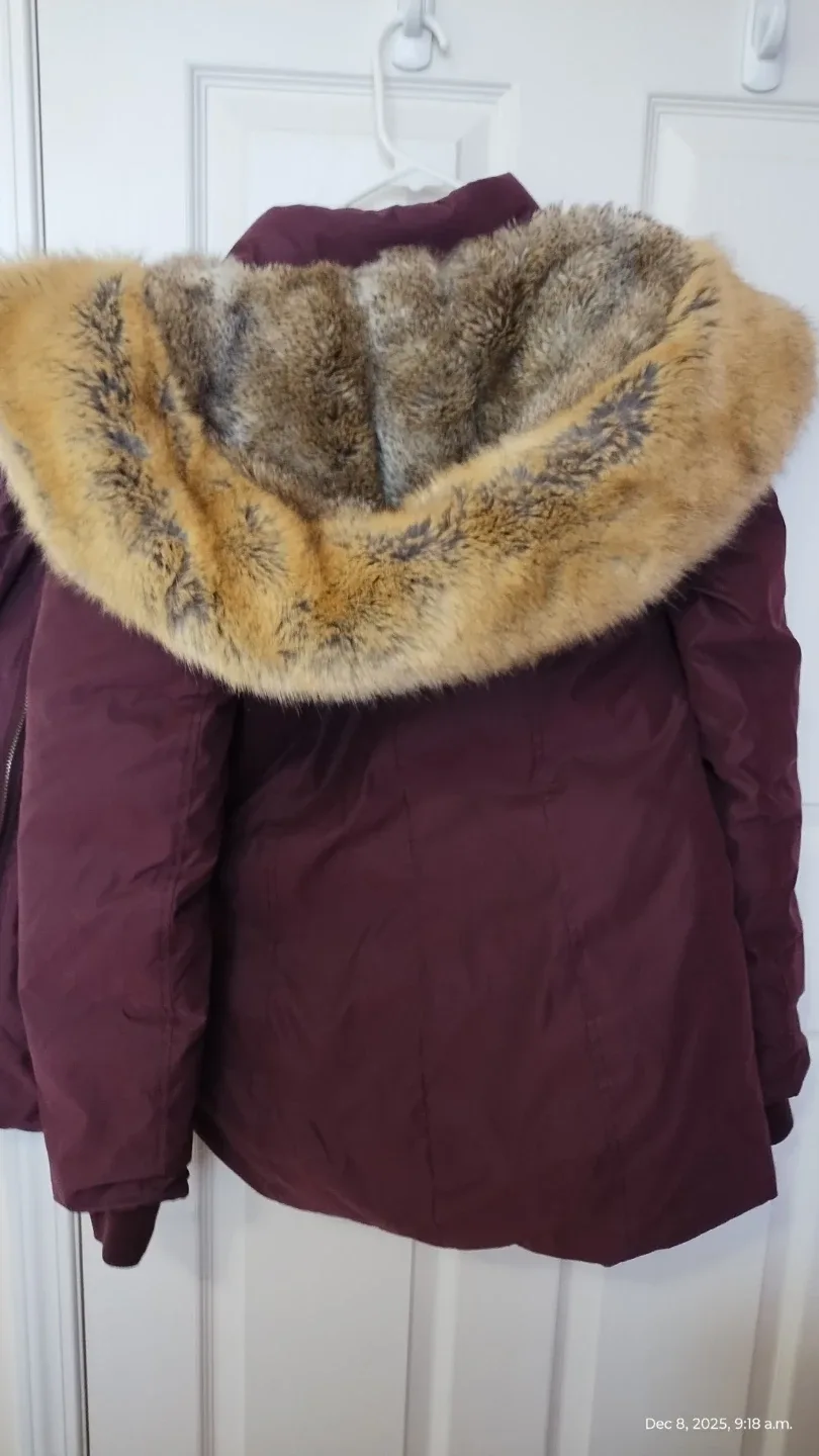 Aritzia Harrison Parka – Warm, Size S – Quick Sale $90 OBO image indicator(4)