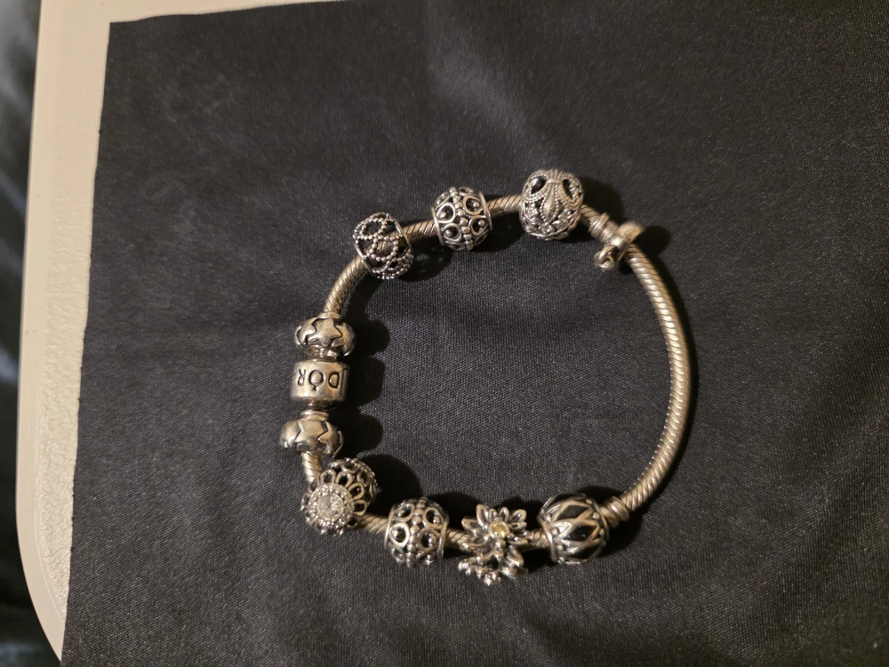 Pandora Charm Bracelet