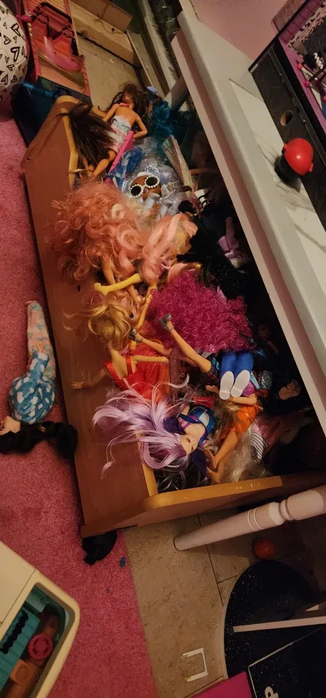 Lot of Barbie & LOL Playsets/Dolls