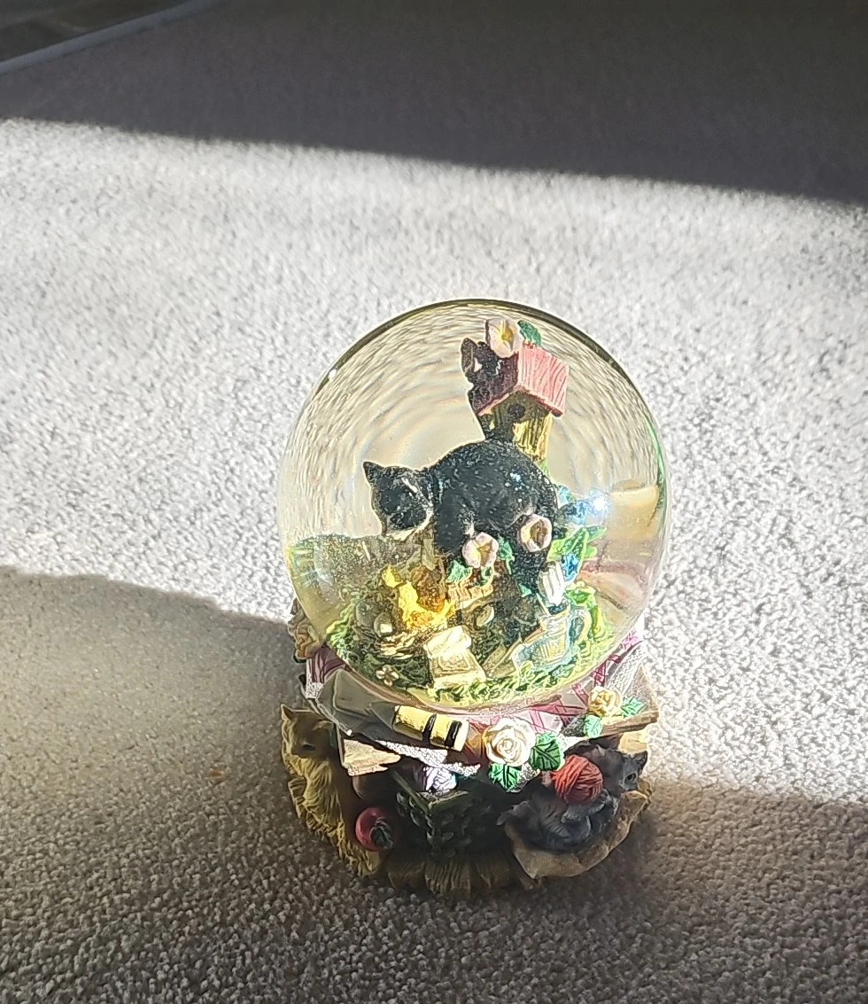 Cat Snow Globe