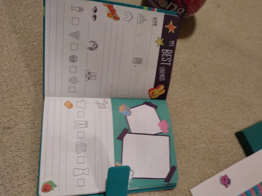 LEGO Friends Notebook image indicator(3)