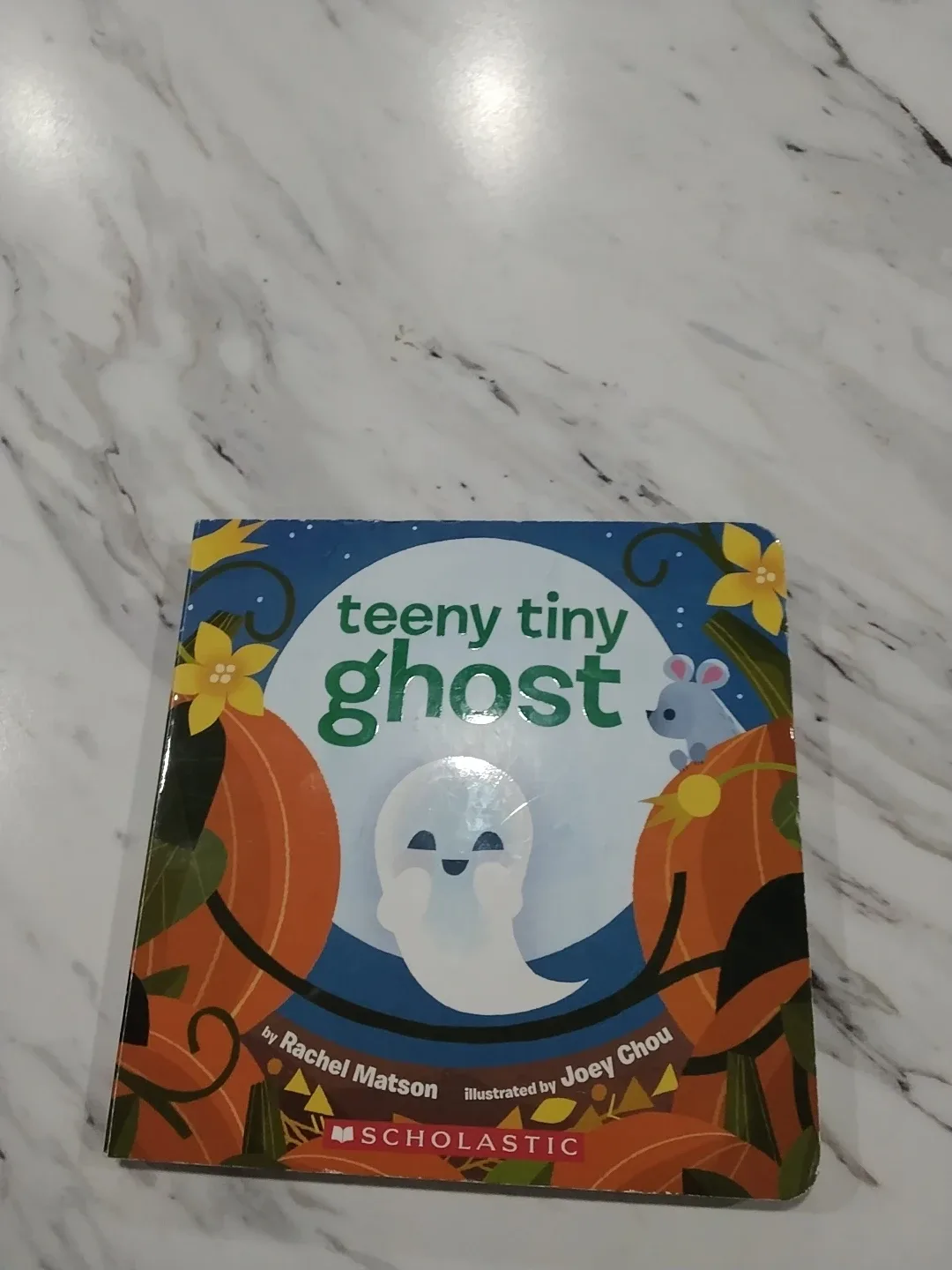 Teeny Tiny Ghost by Rachel Matson