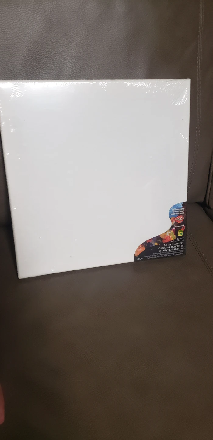 Artist Series Canvas 12x12in 2 sets