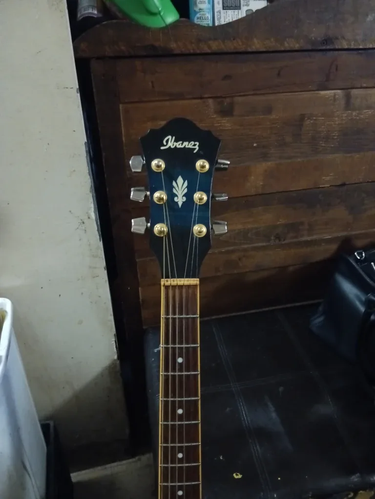 Ibanez Acoustic-Electric Guitar