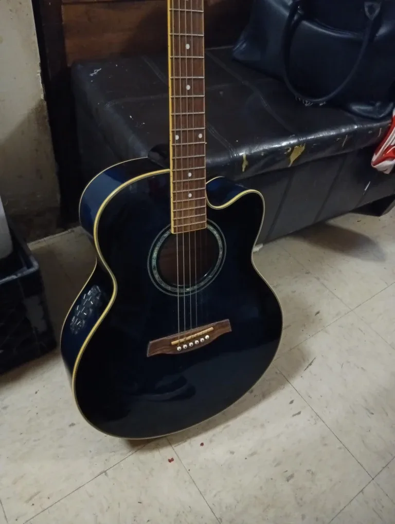 Ibanez Acoustic-Electric Guitar image indicator(2)