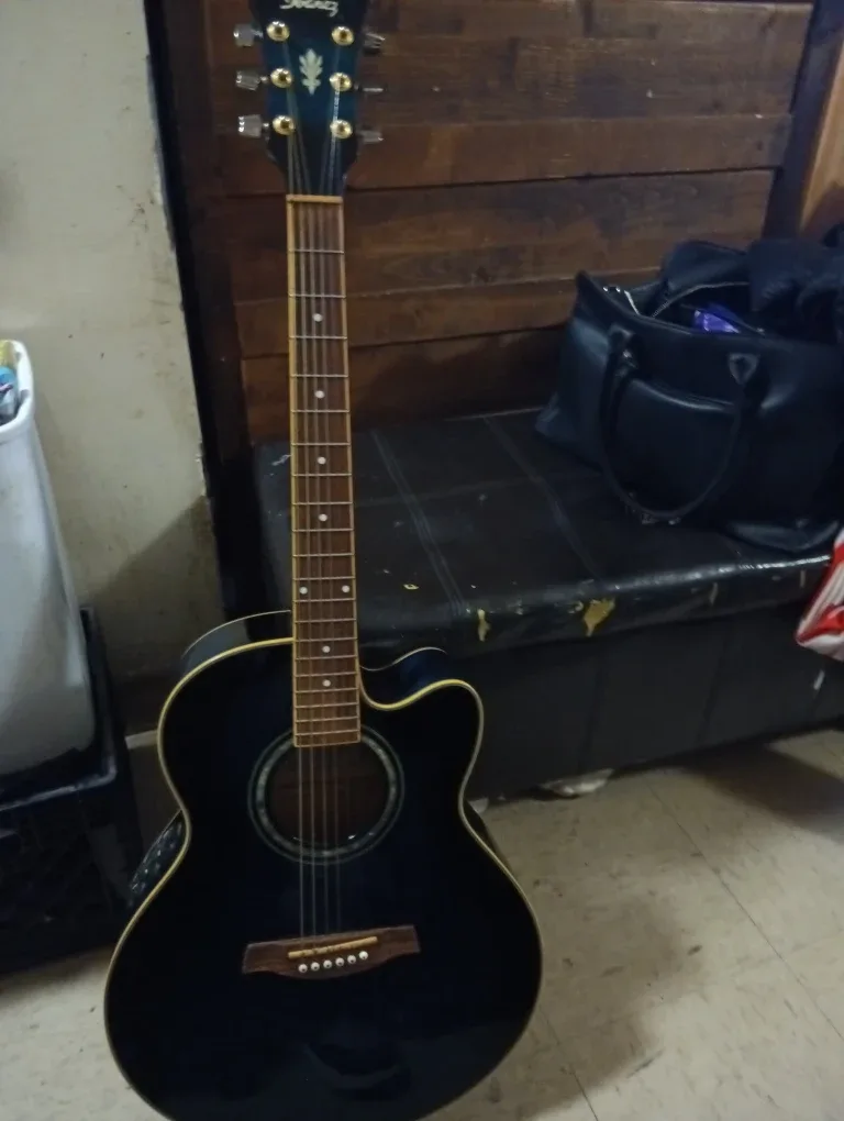 Ibanez Acoustic-Electric Guitar image indicator(4)