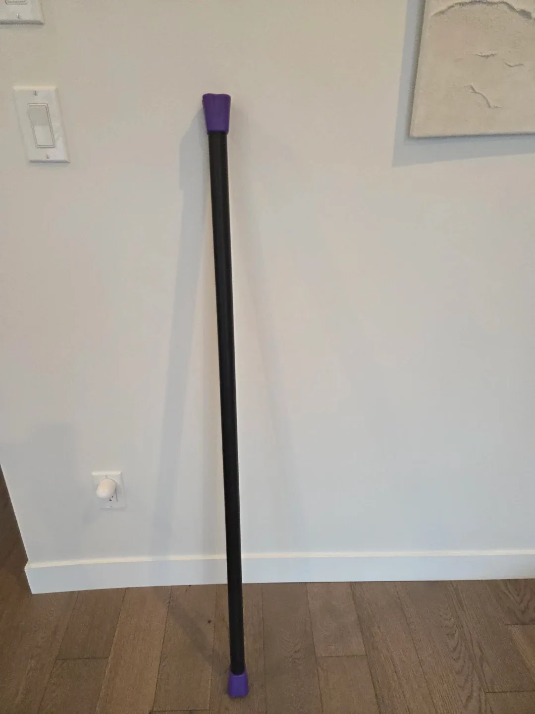5LB Purple Pilates Weighted Bar