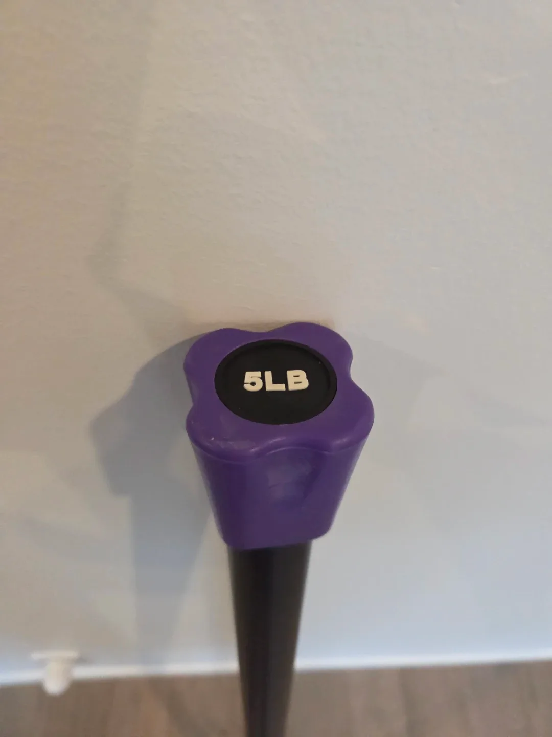 5LB Purple Pilates Weighted Bar