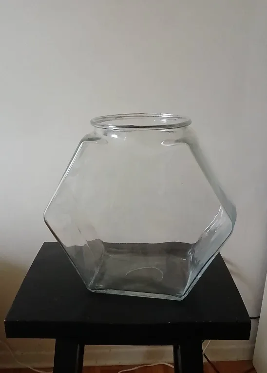 Large Vintage Glass Hexagon fish bowl