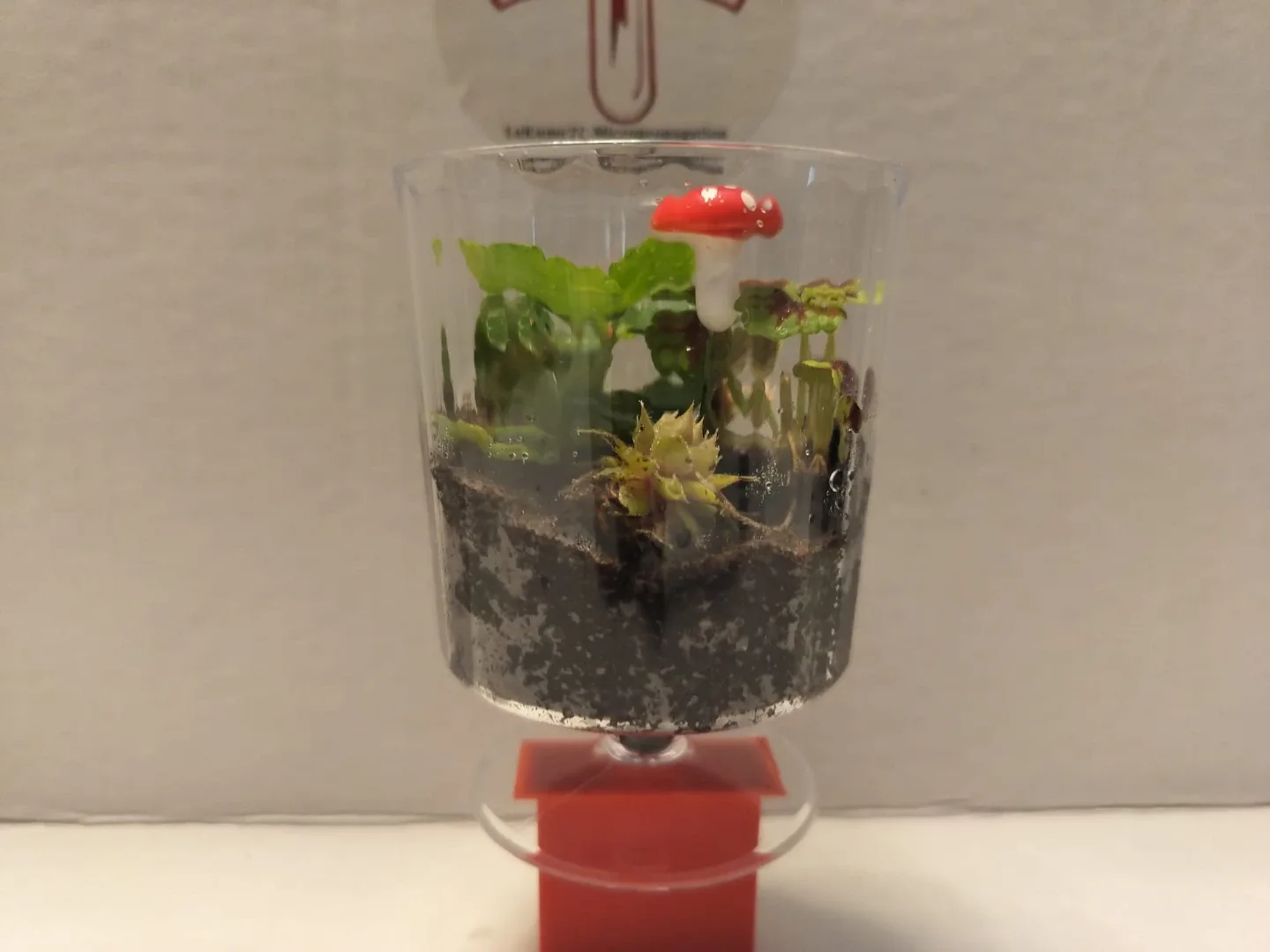 🌿 Healthy Plants in Custom 3D Printed Planters image indicator(4)
