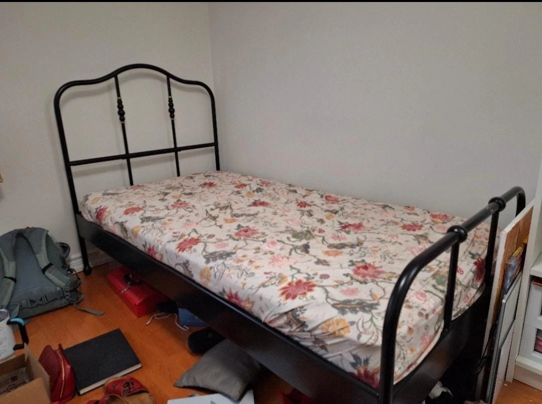 Black Metal Twin Bed Frame with mattress