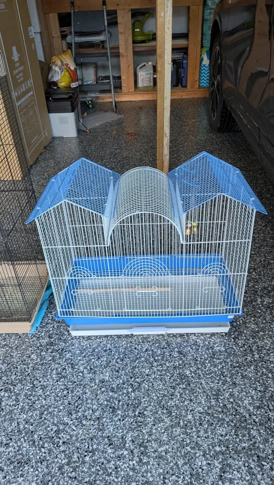 Bird Cages - Two Sizes Available image indicator(2)